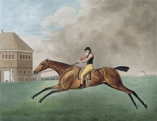 Baronet, 1794